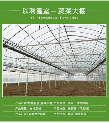 以利農(nóng)業(yè) 專(zhuān)業(yè)化設(shè)計(jì)與一站式服務(wù)，打造高效智能的花卉養(yǎng)殖大棚與連棟玻璃溫室